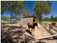 148 Debeyers Road, Pokolbin NSW 2320