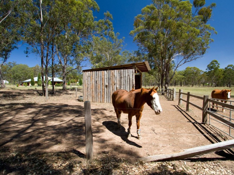 148 Debeyers Road, Pokolbin NSW 2320