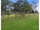 510 Talga Road, Lovedale NSW 2325