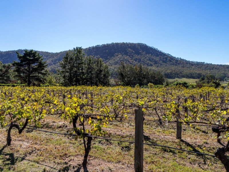 274 The Inlet Road, Bulga NSW 2330