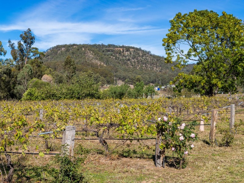 274 The Inlet Road, Bulga NSW 2330