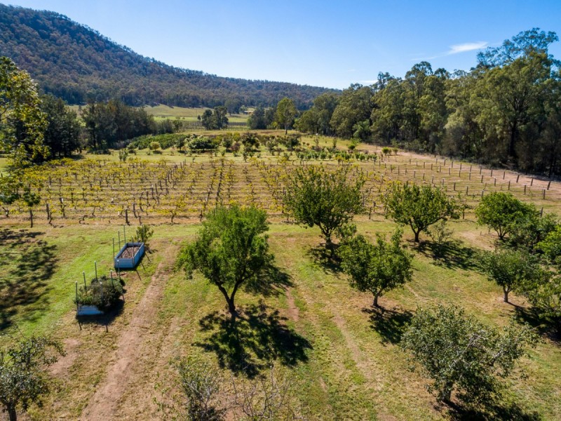 274 The Inlet Road, Bulga NSW 2330