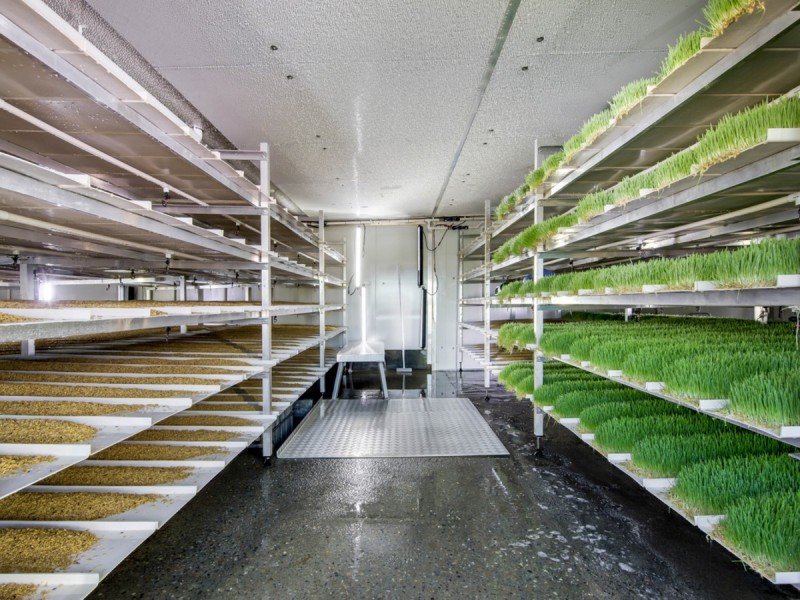 1428 Raymond Terrace Road, Nelsons Plains NSW 2324