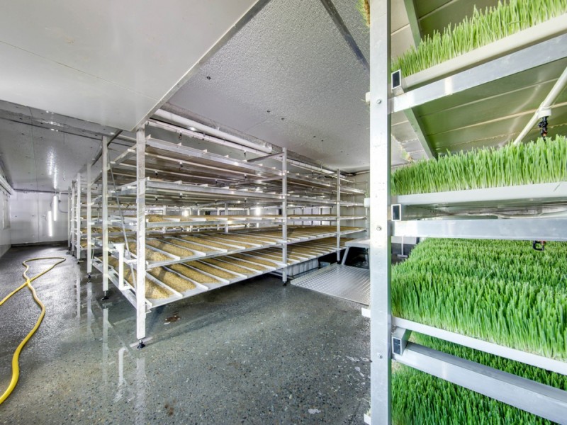 1428 Raymond Terrace Road, Nelsons Plains NSW 2324