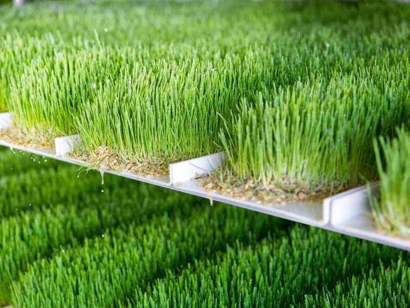 1428 Raymond Terrace Road, Nelsons Plains NSW 2324