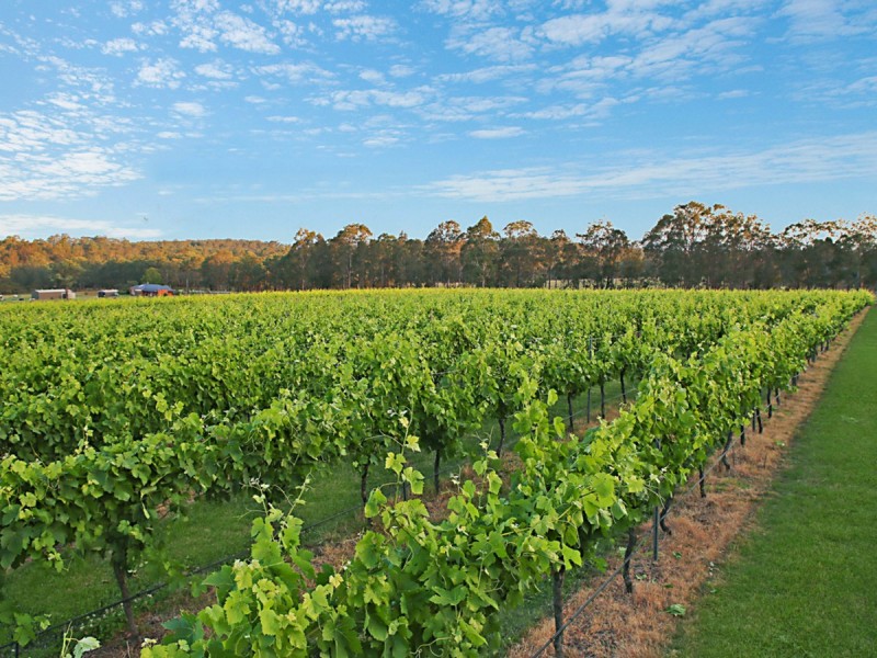 28 Racecourse Lane, Pokolbin NSW 2320