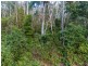 371 Sheppeard Drive, Mulbring NSW 2323