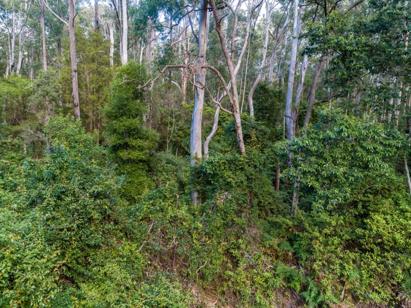371 Sheppeard Drive, Mulbring NSW 2323