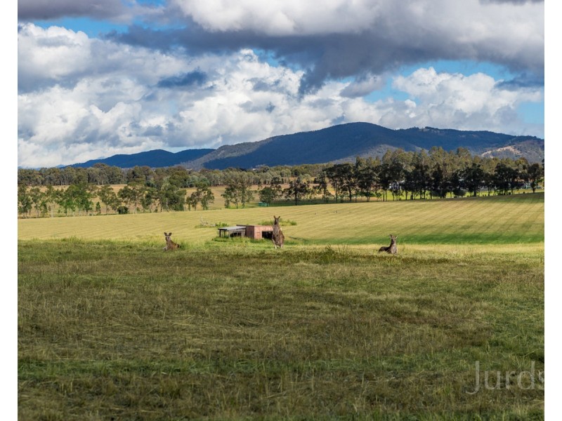 Cnr Broke Road & McDonalds Road, Pokolbin NSW 2320