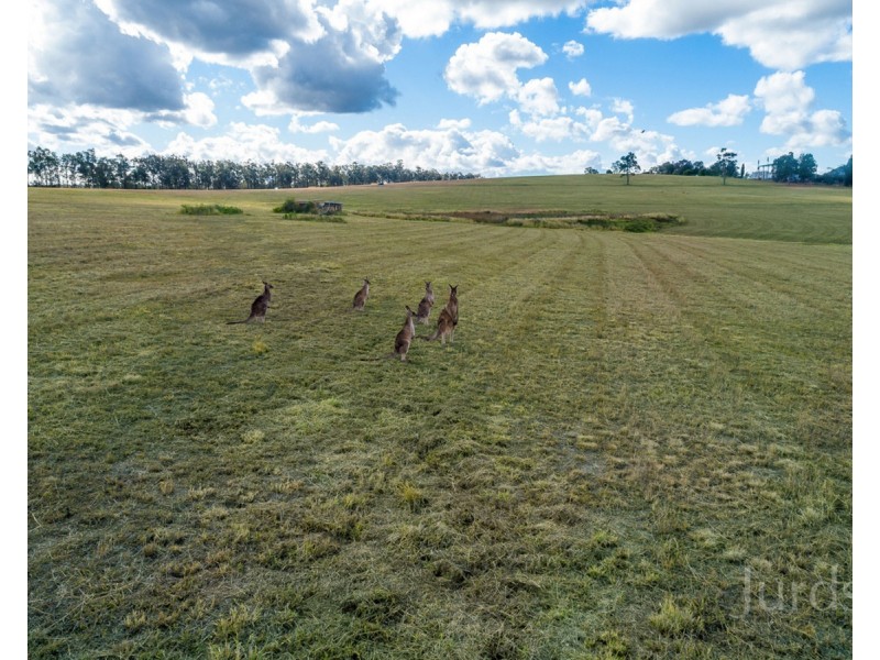 Cnr Broke Road & McDonalds Road, Pokolbin NSW 2320