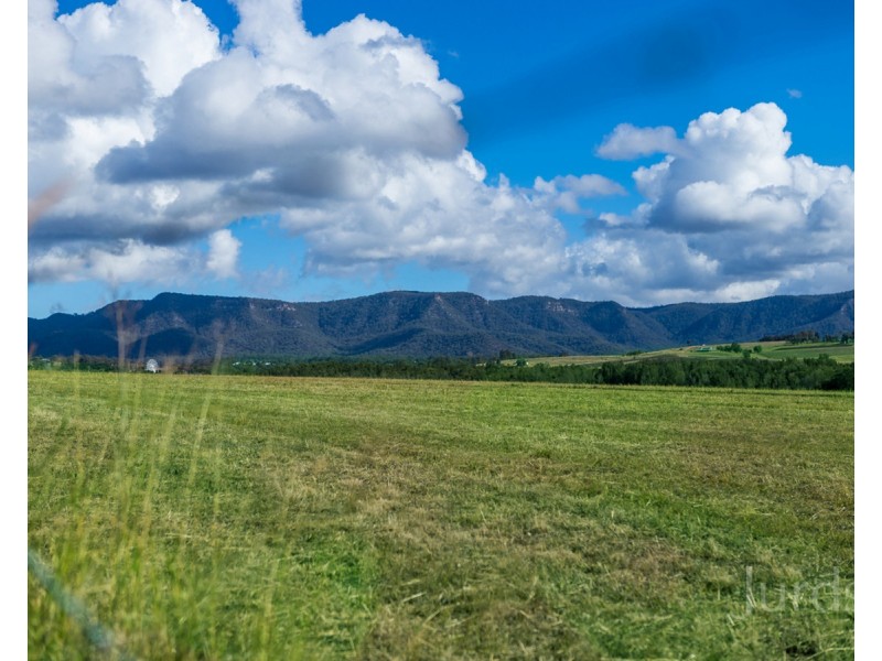 Cnr Gillards Road & McDonalds Road, Pokolbin NSW 2320