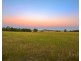 113 Pywells Road, Luskintyre NSW 2321