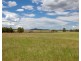 113 Pywells Road, Luskintyre NSW 2321