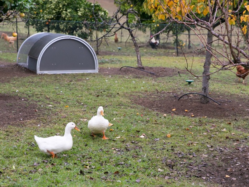 42 Londons Road, Lovedale NSW 2325