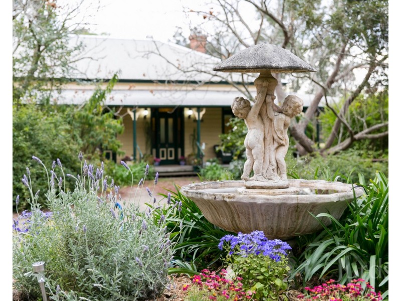 8 Sandy Creek Road, Mount Vincent NSW 2323