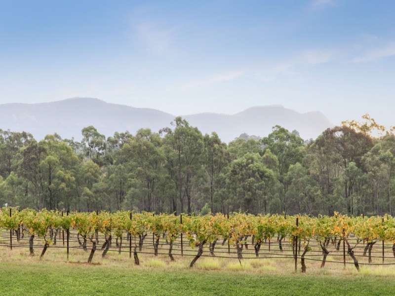 Lot 5 Deasys Road, Pokolbin NSW 2320