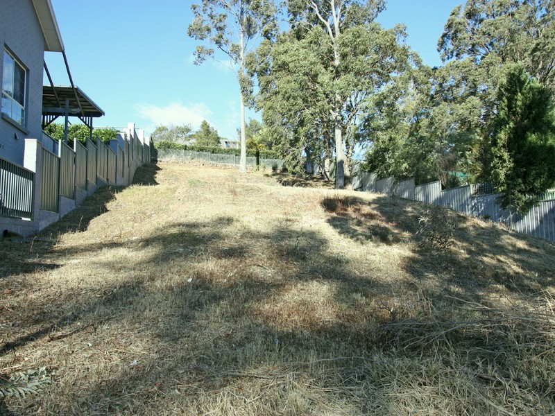163 Mathieson Street, Bellbird Heights NSW 2325