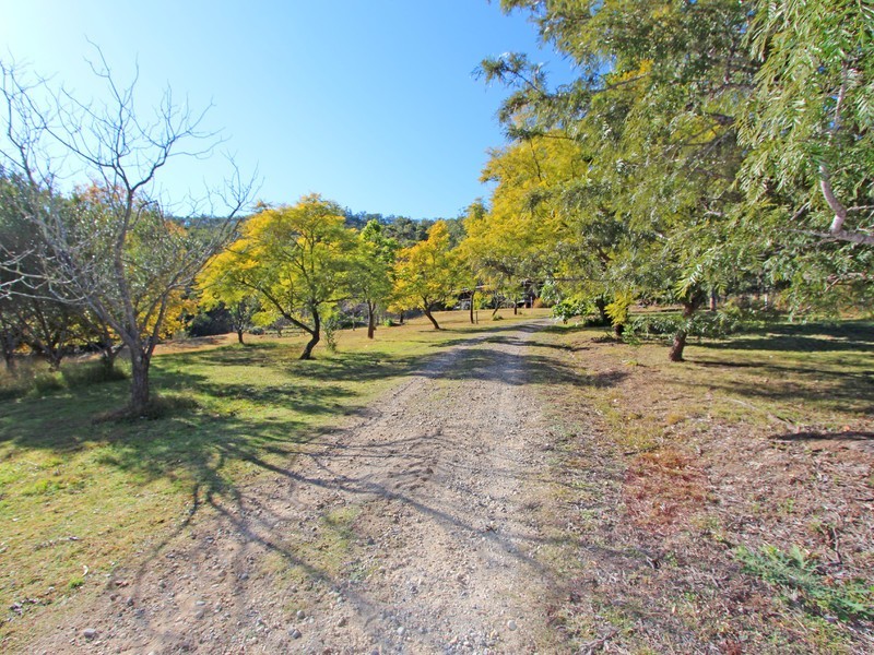587 Wollombi Road, Broke NSW 2330