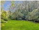144 Sweetmans Creek Road, Sweetmans Creek NSW 2325