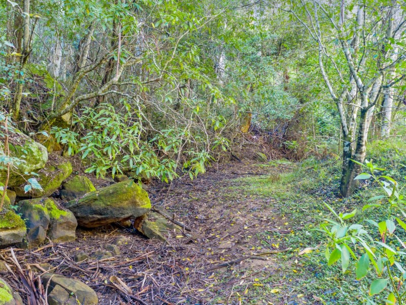 144 Sweetmans Creek Road, Sweetmans Creek NSW 2325