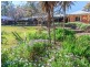 745 Lovedale Road, Lovedale NSW 2325