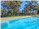 745 Lovedale Road, Lovedale NSW 2325