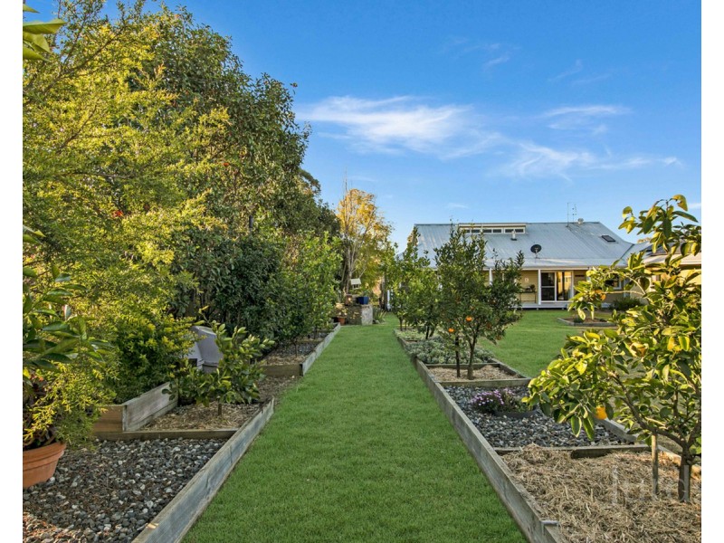 Lot 46 Kelman Vineyard, Pokolbin NSW 2320