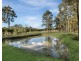 29 The Ballabourneen, Lovedale NSW 2325