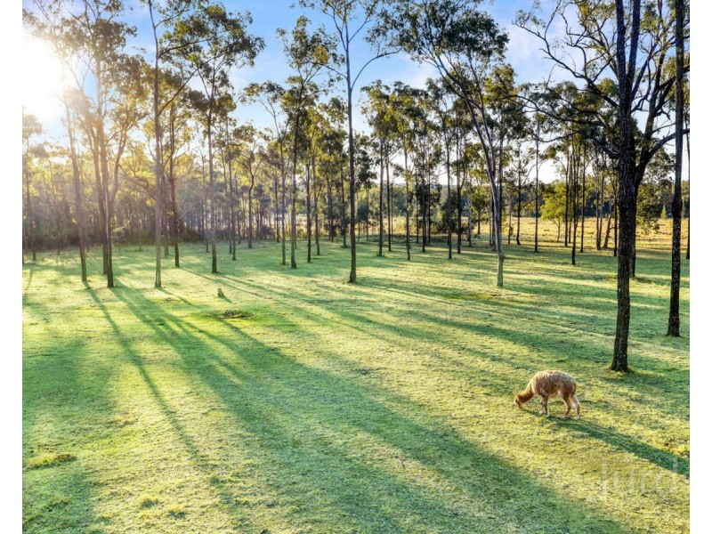 29 The Ballabourneen, Lovedale NSW 2325