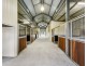 859 Sandy Creek Road, Quorrobolong NSW 2325