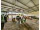 859 Sandy Creek Road, Quorrobolong NSW 2325