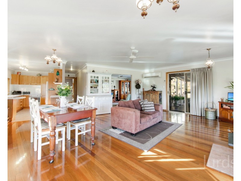 699 Wollombi Road, Broke NSW 2330