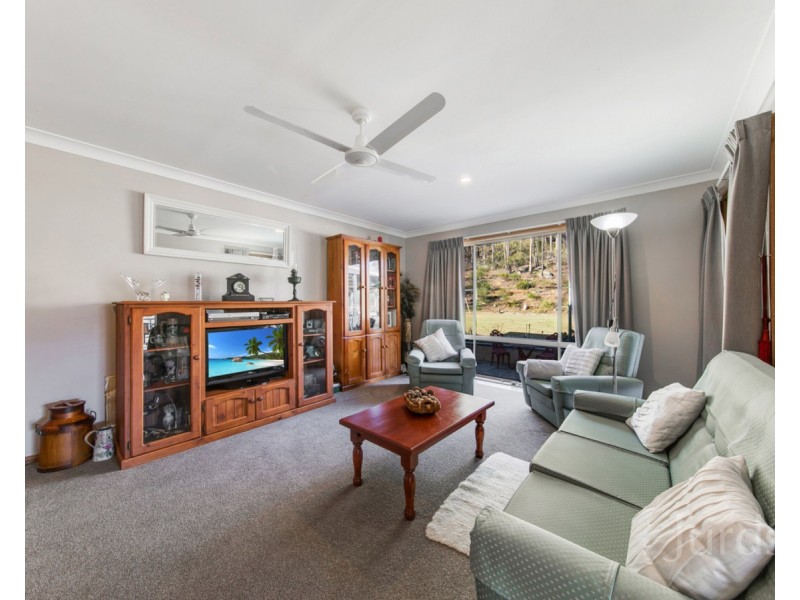 699 Wollombi Road, Broke NSW 2330