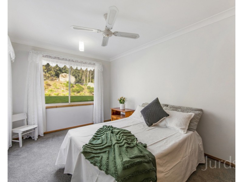 699 Wollombi Road, Broke NSW 2330