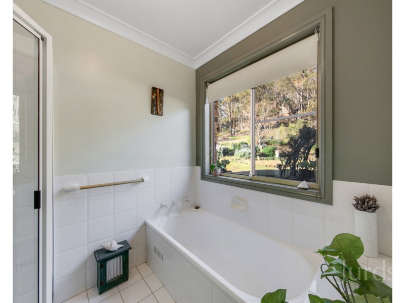 699 Wollombi Road, Broke NSW 2330