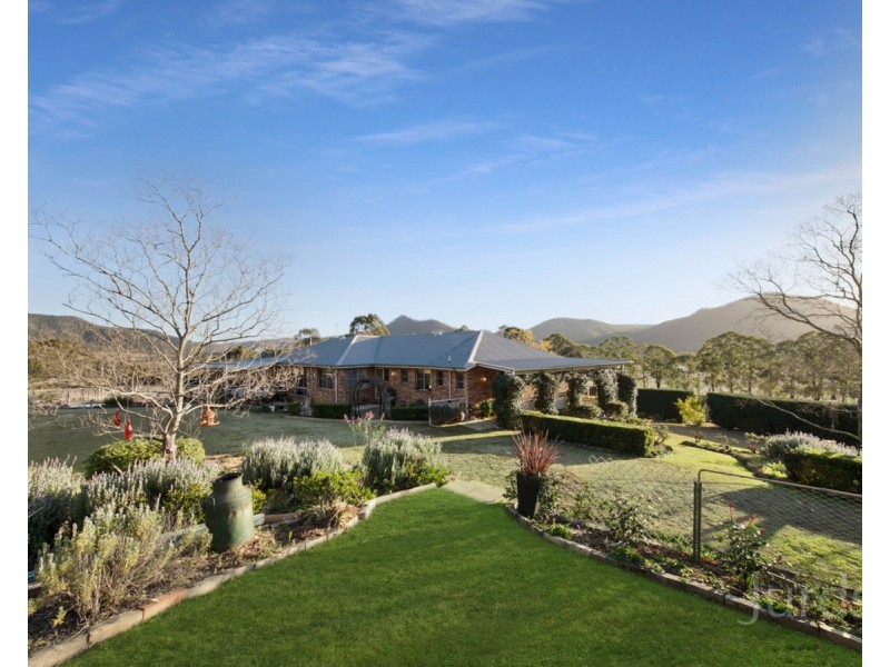 699 Wollombi Road, Broke NSW 2330