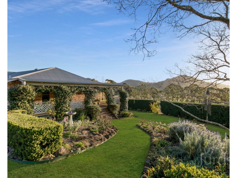 699 Wollombi Road, Broke NSW 2330