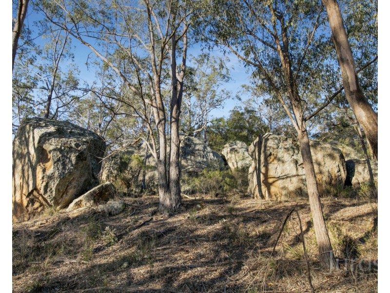 699 Wollombi Road, Broke NSW 2330