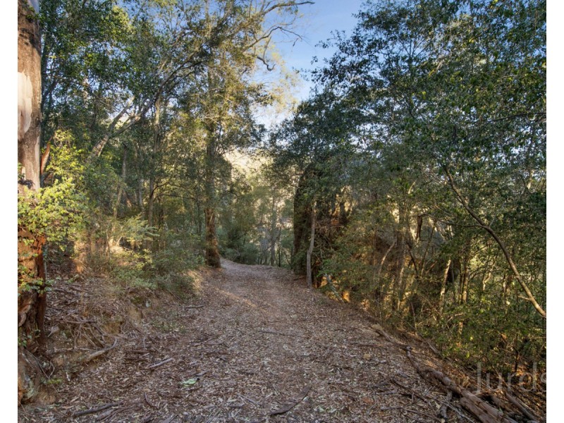 699 Wollombi Road, Broke NSW 2330