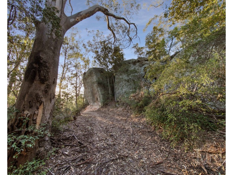 699 Wollombi Road, Broke NSW 2330