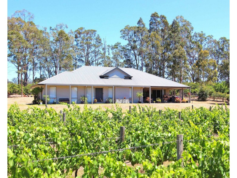Lot 4 Kelman Vineyard, 2 Oakey Creek Road, Pokolbin NSW 2320