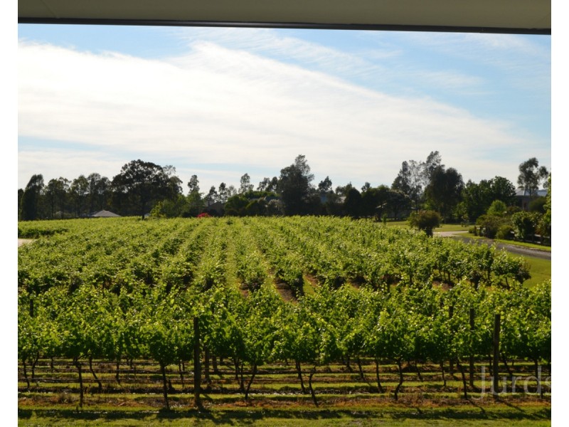 Lot 4 Kelman Vineyard, 2 Oakey Creek Road, Pokolbin NSW 2320
