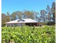 Lot 4 Kelman Vineyard, 2 Oakey Creek Road, Pokolbin NSW 2320