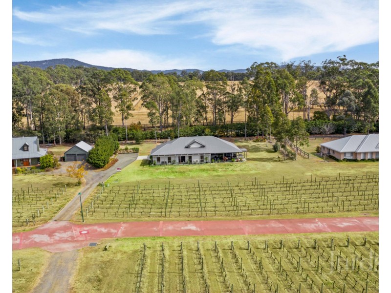 Lot 4 Kelman Vineyard, 2 Oakey Creek Road, Pokolbin NSW 2320