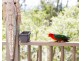 Villa 610 Cypress Lakes Resort, Pokolbin NSW 2320