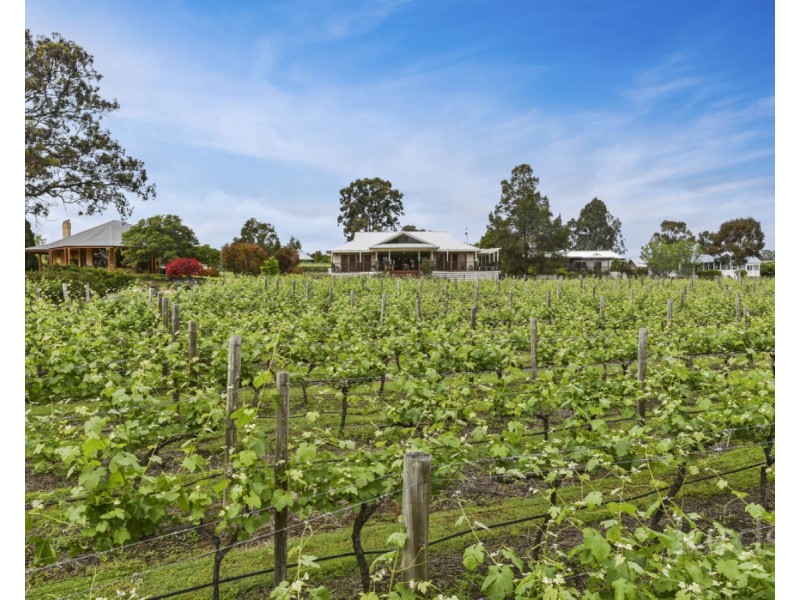 Lot 43 Kelman Estate, 2 Oakey Creek Road, Pokolbin NSW 2320