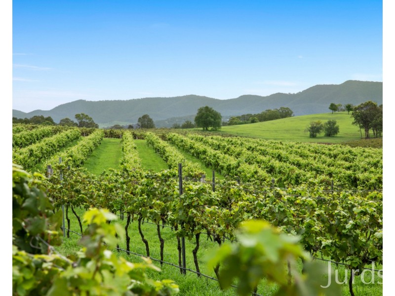 29 Palmers Lane, Pokolbin NSW 2320