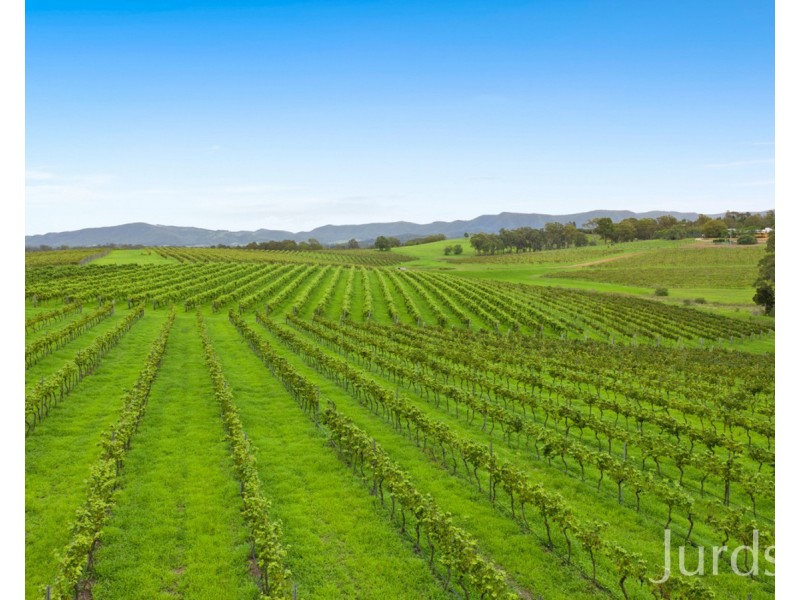 29 Palmers Lane, Pokolbin NSW 2320