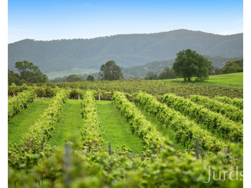 29 Palmers Lane, Pokolbin NSW 2320