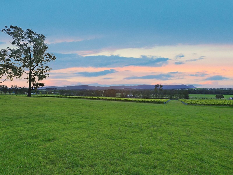 25 Londons Road, Lovedale NSW 2325